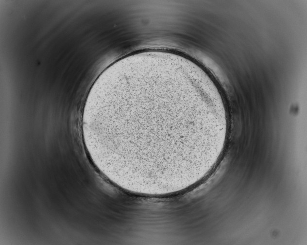 X0000103911329200810311423