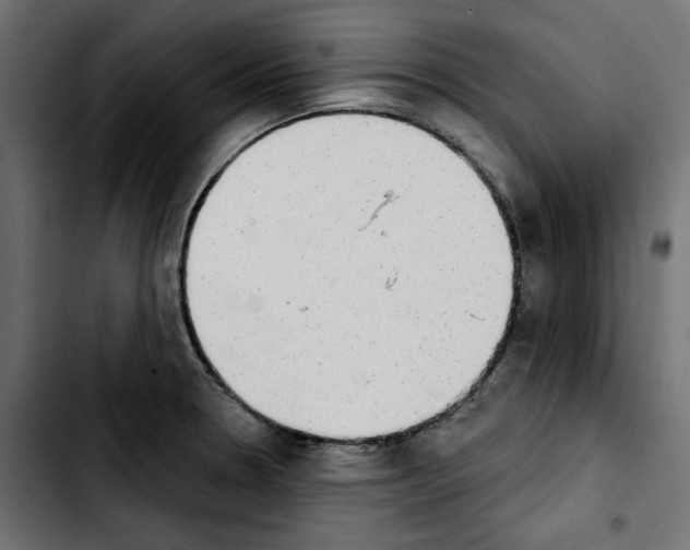 X0000103911330200810311423