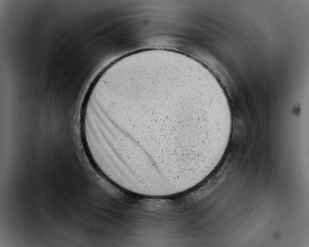 X0000103911331200810311423