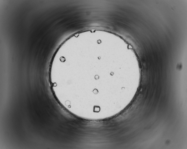 X0000103911333200810311423