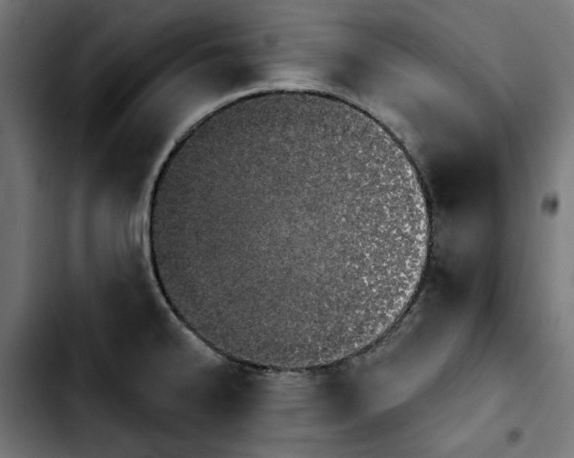 X0000103911334200810311423
