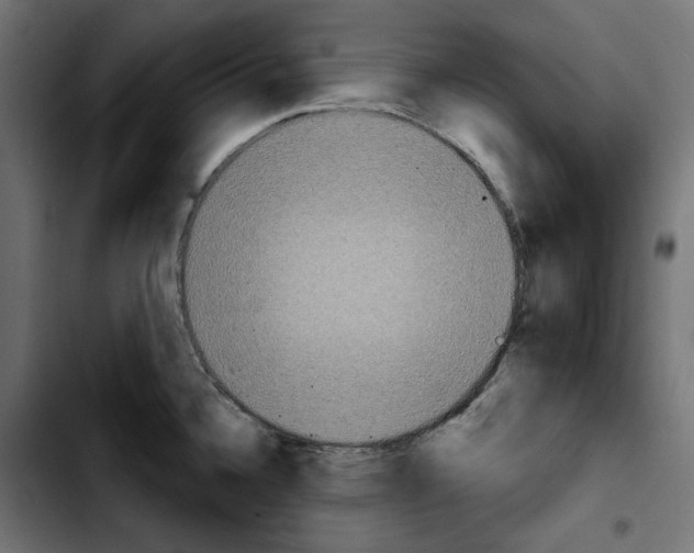 X0000103911336200810311423
