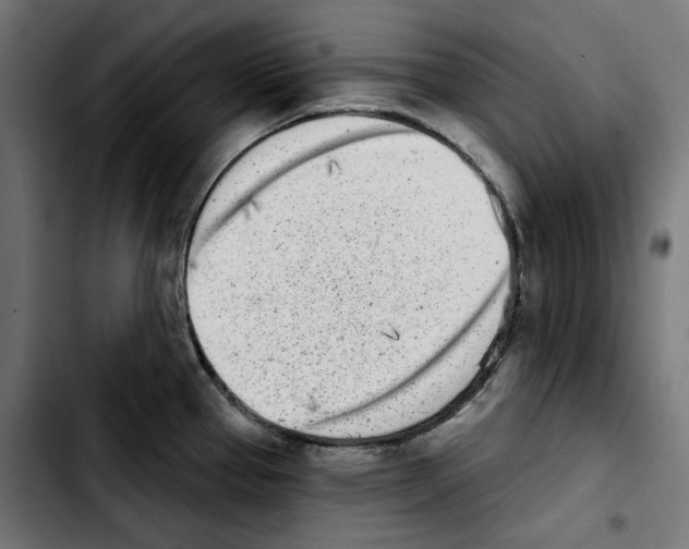 X0000103911337200810311423