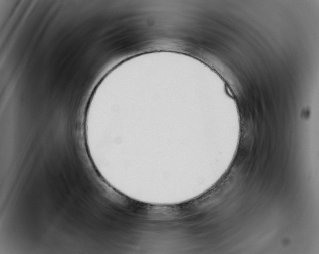 X0000103911339200810311423