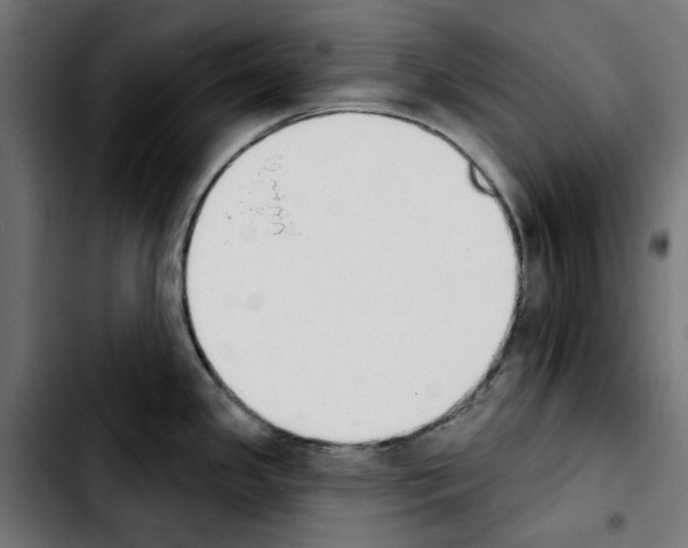 X0000103911341200810311423