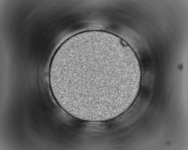 X0000103911342200810311423
