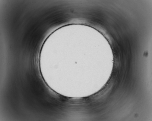 X0000103911343200810311423