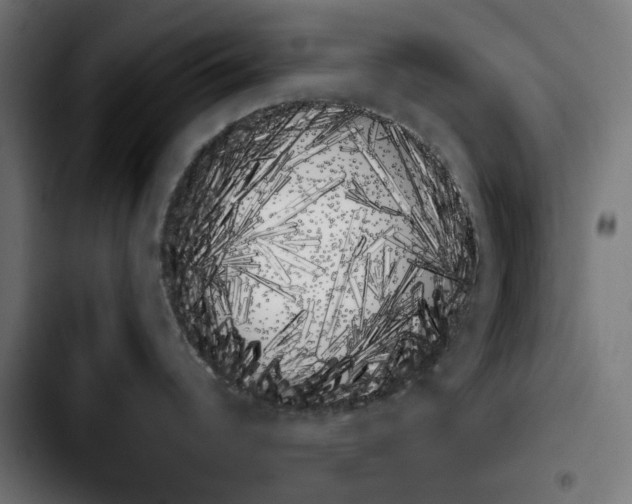 X0000103911344200810311423