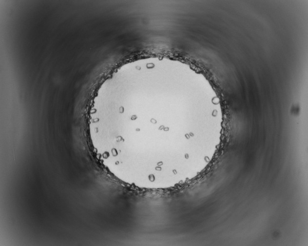 X0000103911345200810311423