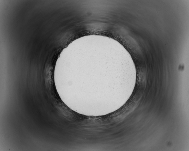 X0000103911346200810311423