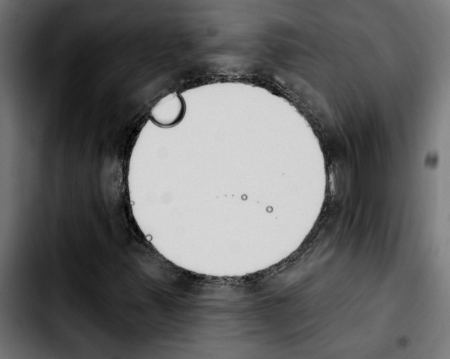 X0000103911347200810311423