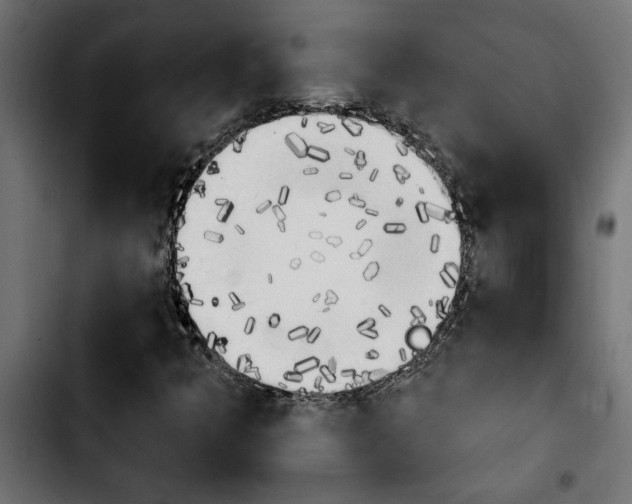 X0000103911349200810311423