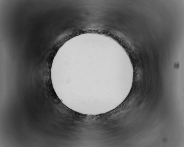 X0000103911350200810311423
