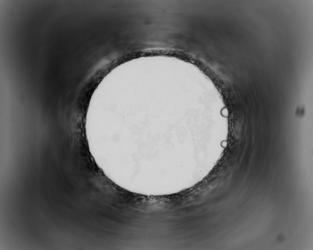 X0000103911351200810311423