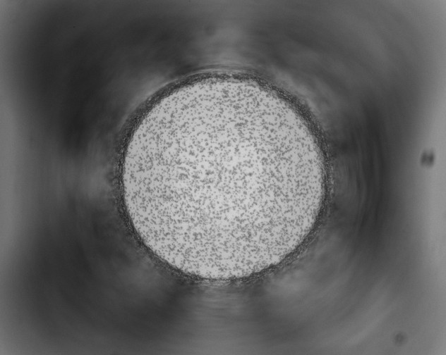 X0000103911352200810311423