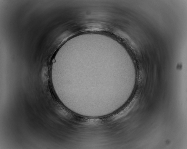 X0000103911353200810311423