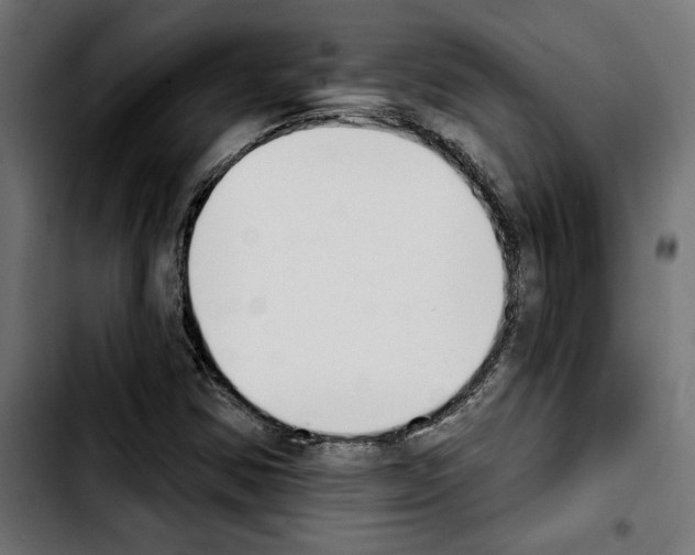 X0000103911354200810311423
