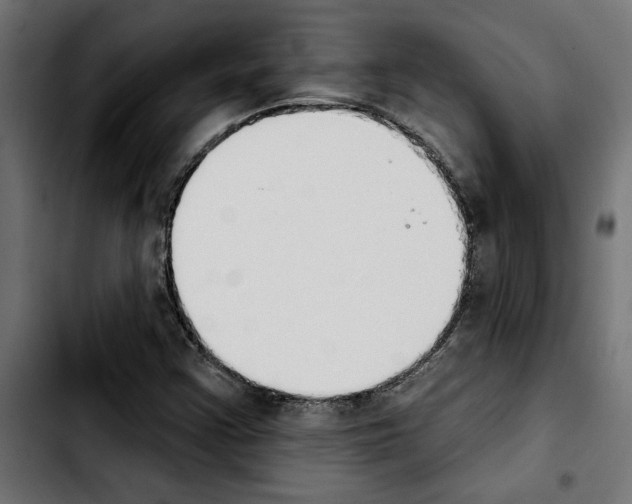 X0000103911355200810311423