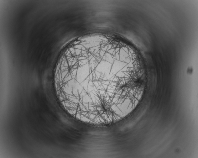 X0000103911356200810311423