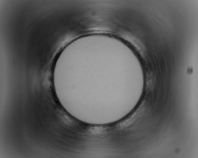 X0000103911357200810311423