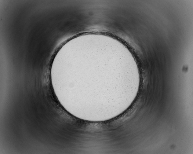 X0000103911358200810311423