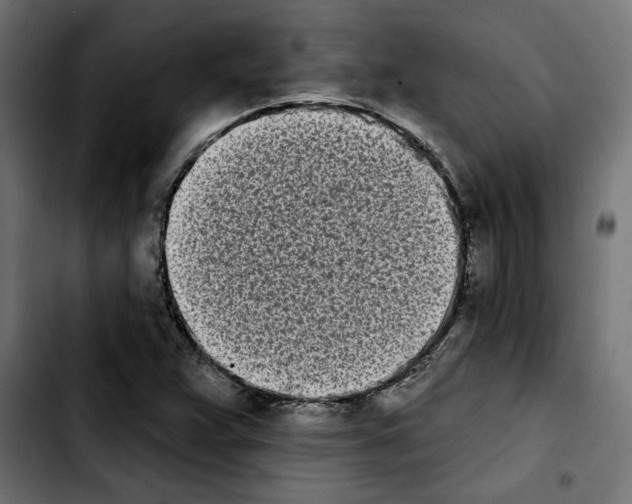 X0000103911359200810311423