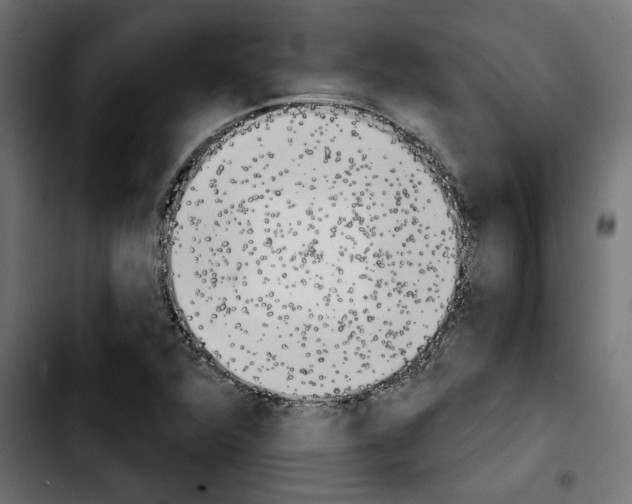 X0000103911360200810311423