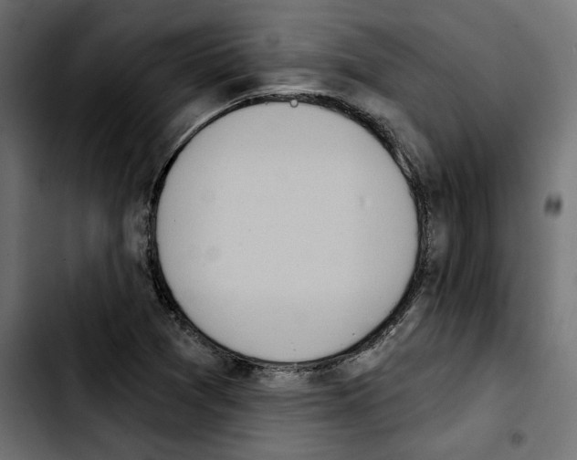 X0000103911361200810311423