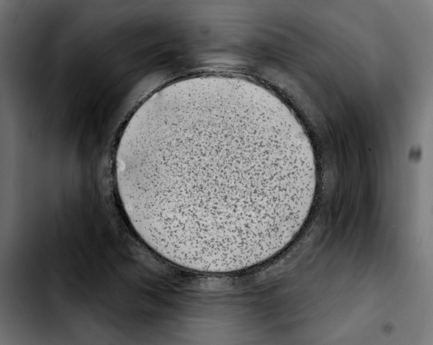 X0000103911362200810311423