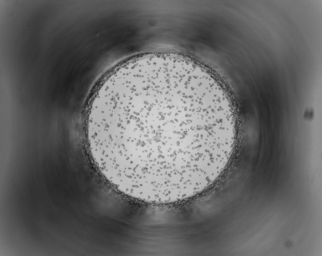 X0000103911364200810311423