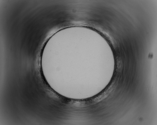 X0000103911365200810311423