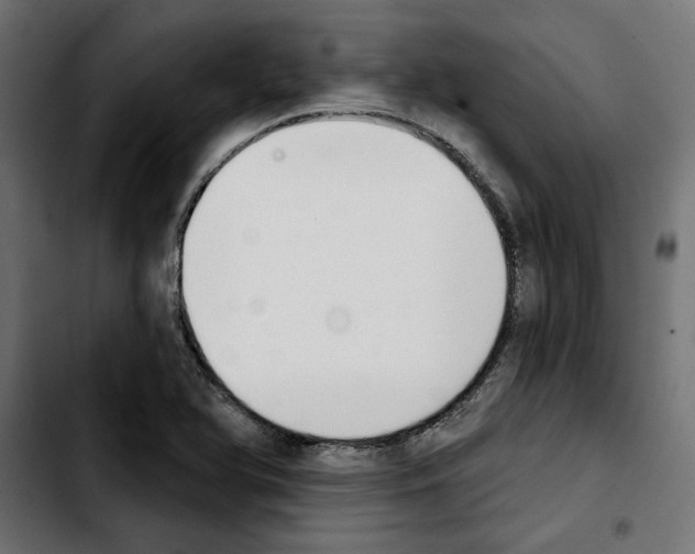 X0000103911366200810311422