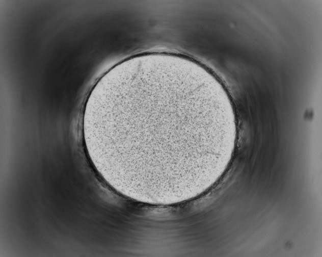 X0000103911367200810311422