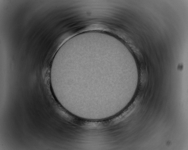 X0000103911369200810311422