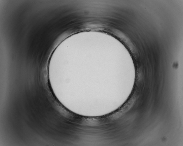 X0000103911370200810311422