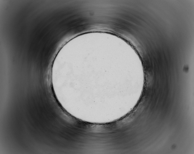 X0000103911371200810311422