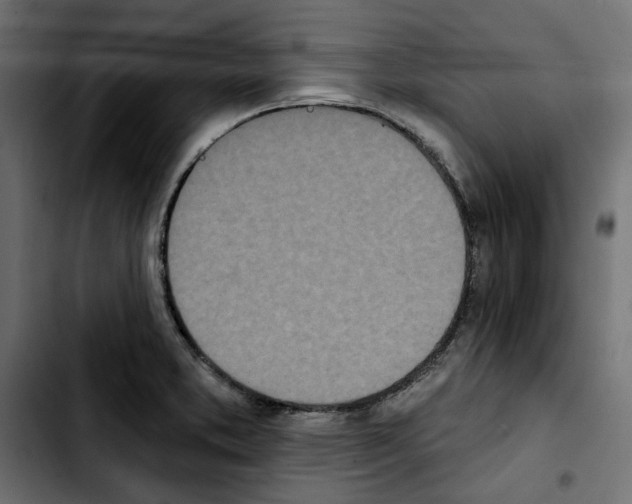 X0000103911373200810311422