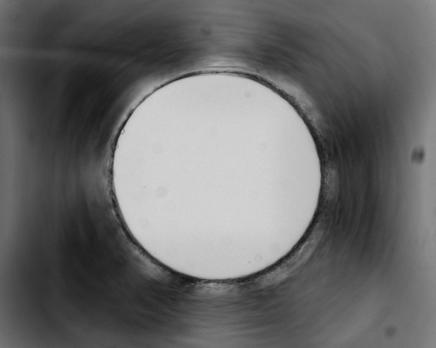 X0000103911374200810311422
