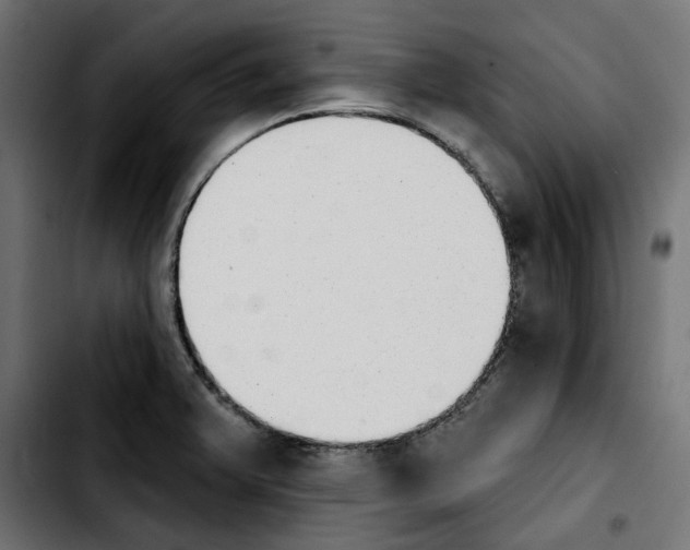 X0000103911375200810311422