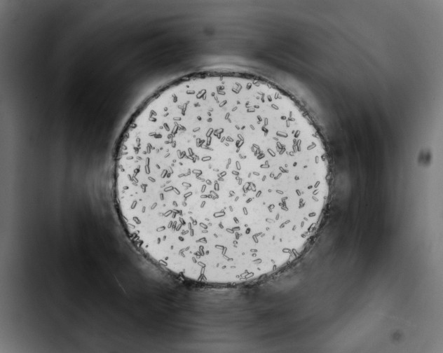 X0000103911376200810311422