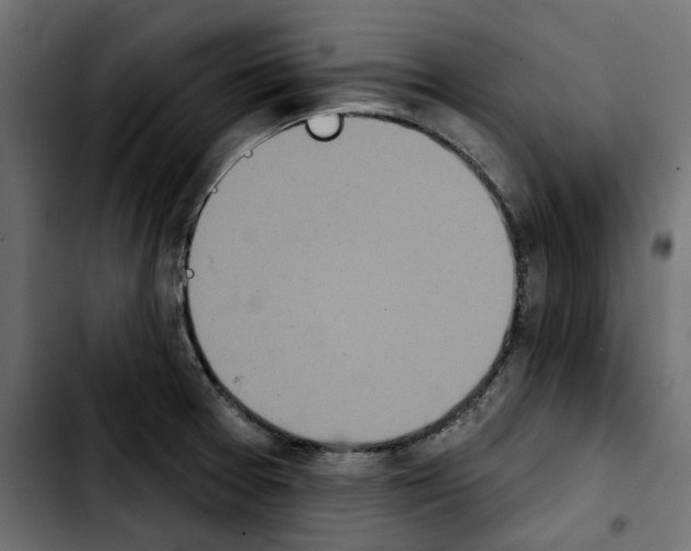 X0000103911377200810311422