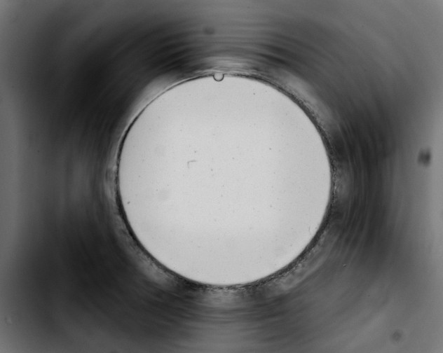 X0000103911378200810311422