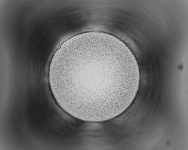 X0000103911382200810311422