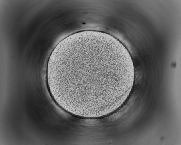 X0000103911383200810311422