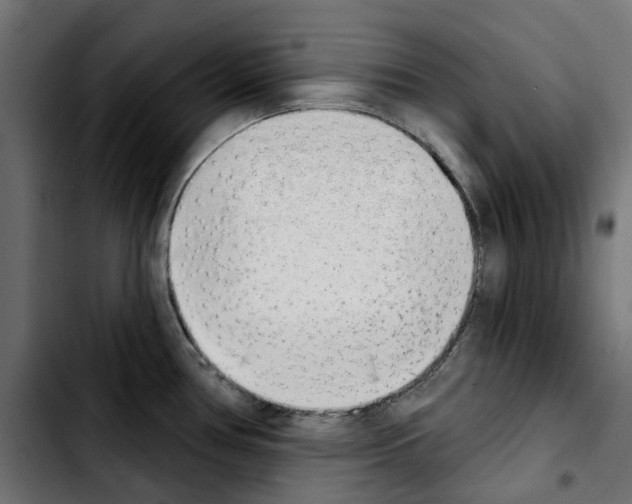 X0000103911386200810311422
