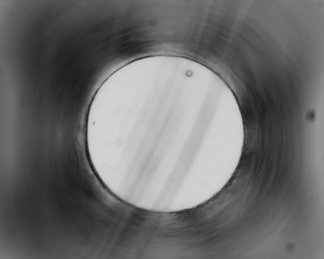 X0000103911387200810311422