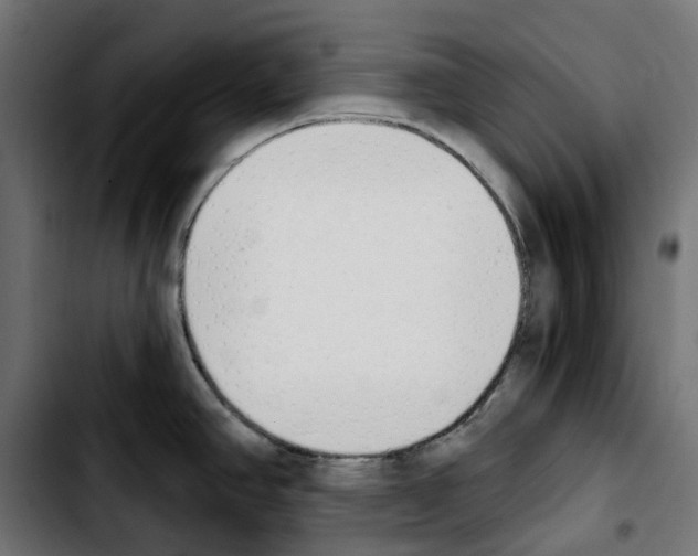 X0000103911390200810311422