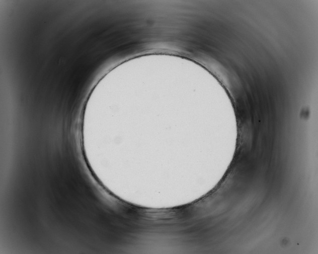 X0000103911391200810311422