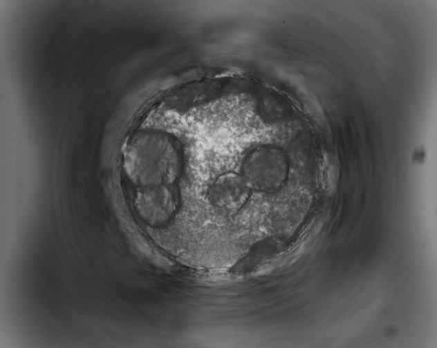 X0000103911393200810311421