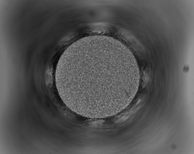 X0000103911394200810311421